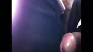 Maravilhosa gata mor ...