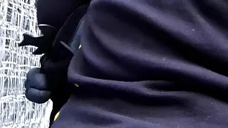 Puma bronzeado com e ...