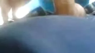 Esbelta gracinha no  ...