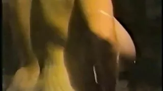 A vídeo de pornô cas ...