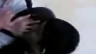 Garanhão bonito pref ...